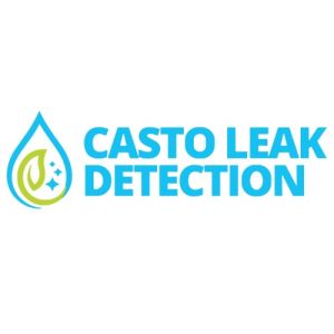 Casto Leak Detection