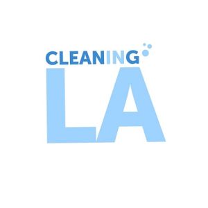 Cleaning in LA