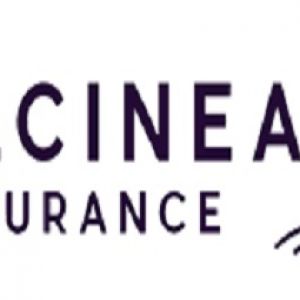 Dulcinea Insurance Agency
