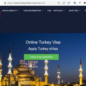 FOR FRENCH CITIZENS - TURKEY Turkish Electronic Visa System Online - Government 