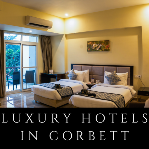 Luxury Hotels in Corbett | Resort De Coracao