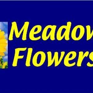 Meadow Flowers
