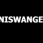 Niswanger Law LLC