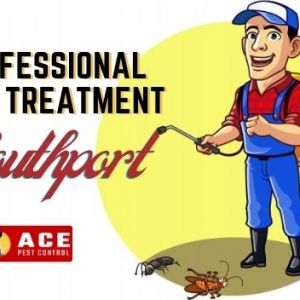Pest Removal Southport