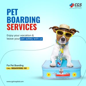 pet boarding delhi | CGS Hospital Sarojini Nagar