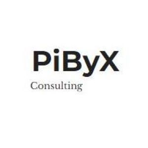 PiByX Consulting