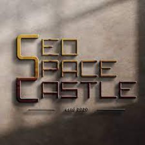SEO SPACE CASTLE - BEST SEO COMPANY IN INDIA