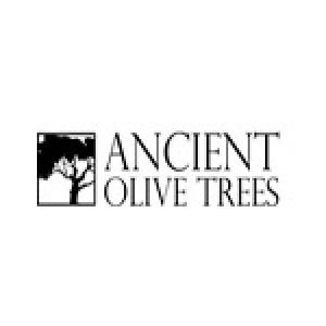 ancientolivetrees