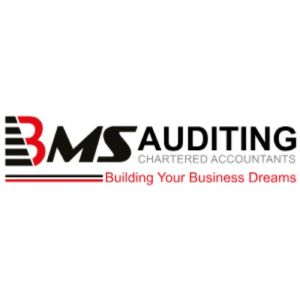 BMS Auditing