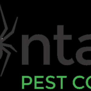 contact pest control