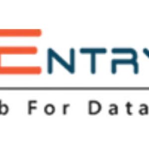 Data Entry Service, Data Management Services