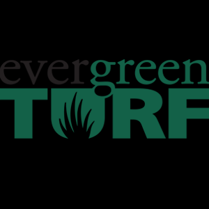 Evergreen Turf
