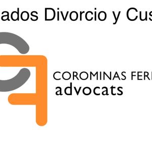 Abogados Expertos en Divorcios, Custodias Comparti