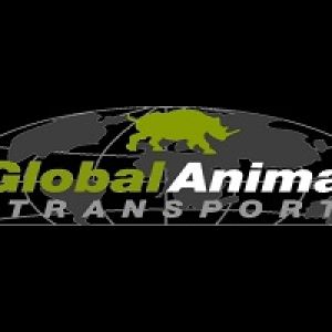 Global Animal Transport LLC