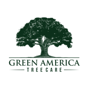 greenamericatreecare