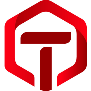 logo tina