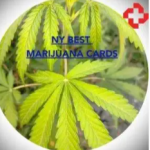 Marijuana Cards