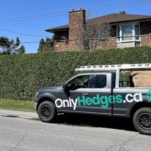 OnlyHedges.ca