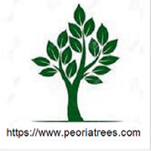 peoriatrees