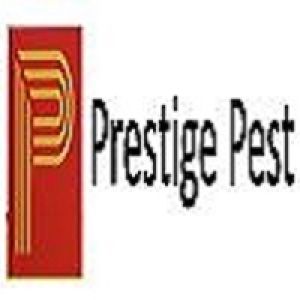 Prestige Pest