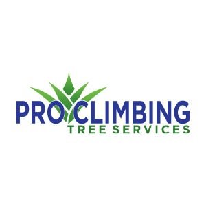 Pro Climbing Tree Services