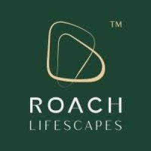 roachlifescapes