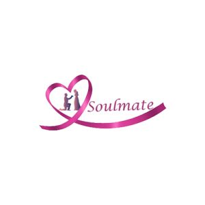 Soulmate Journey Book