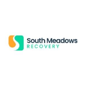 South Meadows Recovery