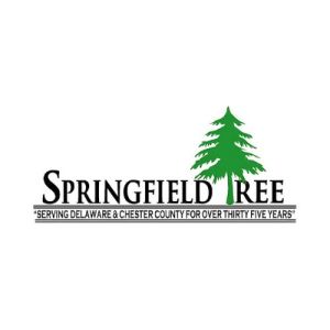 Springfield Tree
