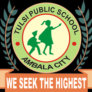 Tulsi Public School